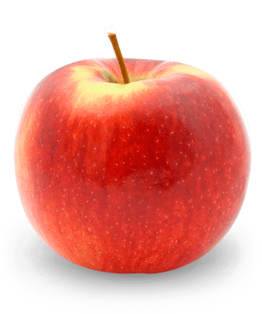 McIntosh (apple) - Wikipedia