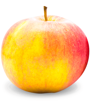 Cortland apple uses