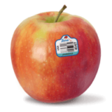 Jonagold Apples