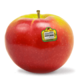 McIntosh Apples