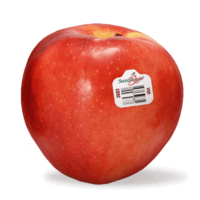 SweeTango® Apples Information and Facts